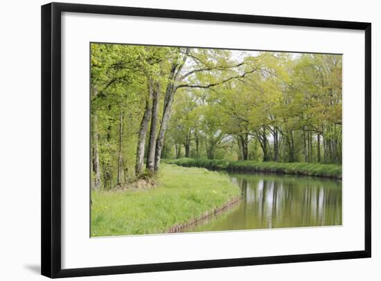 France, Loire. Spring Trees and Grasses, Canal Lateral a La Loire-Kevin Oke-Framed Photographic Print