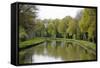 France, Loire. Trees Lining the Canal Lateral a La Loire-Kevin Oke-Framed Stretched Canvas