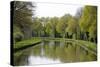 France, Loire. Trees Lining the Canal Lateral a La Loire-Kevin Oke-Stretched Canvas