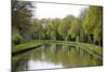 France, Loire. Trees Lining the Canal Lateral a La Loire-Kevin Oke-Mounted Photographic Print