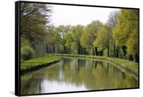 France, Loire. Trees Lining the Canal Lateral a La Loire-Kevin Oke-Framed Stretched Canvas