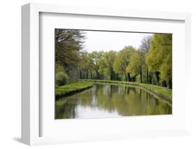 France, Loire. Trees Lining the Canal Lateral a La Loire-Kevin Oke-Framed Photographic Print