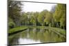 France, Loire. Trees Lining the Canal Lateral a La Loire-Kevin Oke-Mounted Photographic Print