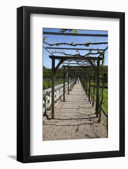 France, Loire Valley, Villandry Castle-Samuel Magal-Framed Photographic Print