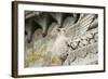 France, Lyon. Bird Carving at Basilica Notre Dame De Fourviere-Kevin Oke-Framed Photographic Print