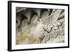 France, Lyon. Bird Carving at Basilica Notre Dame De Fourviere-Kevin Oke-Framed Photographic Print