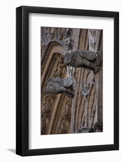 France, Lyon, Cathedral of St Jean-null-Framed Photographic Print