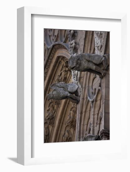 France, Lyon, Cathedral of St Jean-null-Framed Photographic Print