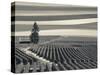 France, Marne, Champagne Region, Mont Aime, Elevated View of Vineyards and Fields-Walter Bibikow-Stretched Canvas