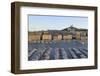 France, Marseille. Vieux Port with Basilique Notre Dame De La Garde-Kevin Oke-Framed Photographic Print