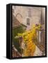 France, Midi-Pyrenees Region, Lot Department, St-Cirq-Lapopie-Walter Bibikow-Framed Stretched Canvas