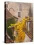 France, Midi-Pyrenees Region, Lot Department, St-Cirq-Lapopie-Walter Bibikow-Stretched Canvas