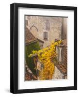 France, Midi-Pyrenees Region, Lot Department, St-Cirq-Lapopie-Walter Bibikow-Framed Photographic Print