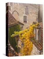 France, Midi-Pyrenees Region, Lot Department, St-Cirq-Lapopie-Walter Bibikow-Stretched Canvas