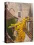 France, Midi-Pyrenees Region, Lot Department, St-Cirq-Lapopie-Walter Bibikow-Stretched Canvas