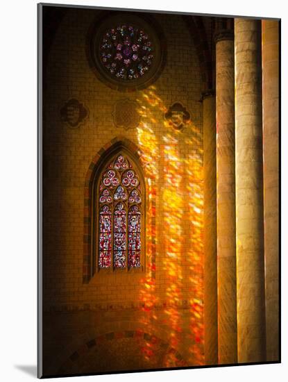 France, Midi-Pyrenees Region, Toulouse, Eglise Des Jacobins, Mother Church of the Dominican Order, -null-Mounted Photographic Print