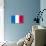France National Flag Poster Print-null-Poster displayed on a wall