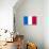 France National Flag Poster Print-null-Poster displayed on a wall