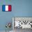 France National Flag Poster Print-null-Framed Poster displayed on a wall