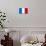 France National Flag Poster Print-null-Mounted Poster displayed on a wall