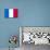 France National Flag Poster Print-null-Mounted Poster displayed on a wall