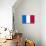 France National Flag Poster Print-null-Mounted Poster displayed on a wall