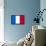 France National Flag-null-Framed Stretched Canvas displayed on a wall