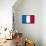 France National Flag-null-Framed Stretched Canvas displayed on a wall