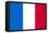 France National Flag-null-Framed Stretched Canvas