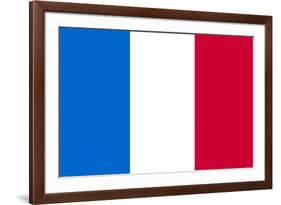 France National Flag-null-Framed Art Print