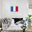 France National Flag-null-Mounted Art Print displayed on a wall