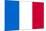 France National Flag-null-Mounted Art Print