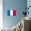 France National Flag-null-Poster displayed on a wall