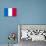 France National Flag-null-Poster displayed on a wall