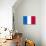 France National Flag-null-Poster displayed on a wall