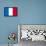 France National Flag-null-Framed Poster displayed on a wall