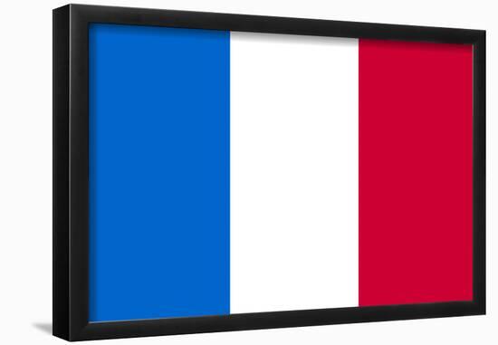 France National Flag-null-Framed Poster