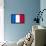 France National Flag-null-Framed Poster displayed on a wall