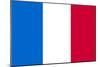 France National Flag-null-Mounted Poster