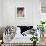 France Nuyen-null-Framed Photo displayed on a wall