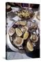 France: Oysters-null-Stretched Canvas