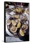 France: Oysters-null-Framed Stretched Canvas