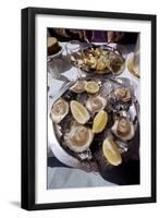 France: Oysters-null-Framed Giclee Print