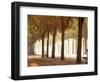 France, Paris, Champs Elysees-null-Framed Photographic Print
