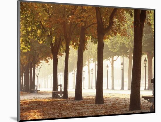 France, Paris, Champs Elysees-null-Mounted Photographic Print