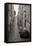 France, Paris. City Street Scene-Bill Young-Framed Stretched Canvas