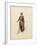 France, Paris, Costume Sketch for Guillame for Performance William Tell, at Paris Opera Garnier-null-Framed Giclee Print