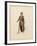 France, Paris, Costume Sketch for Guillame for Performance William Tell, at Paris Opera Garnier-null-Framed Giclee Print