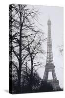 France, Paris. Eiffel Tower at Winter-Walter Bibikow-Stretched Canvas