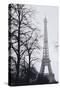 France, Paris. Eiffel Tower at Winter-Walter Bibikow-Stretched Canvas